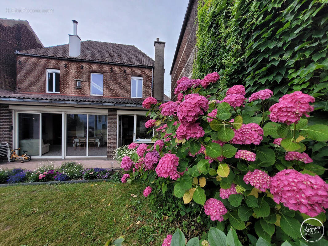 Maison à LUMBRES
