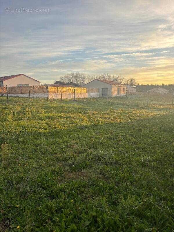 Terrain à AVRILLE