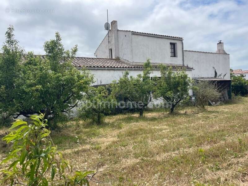 Maison à LE BOIS-PLAGE-EN-RE