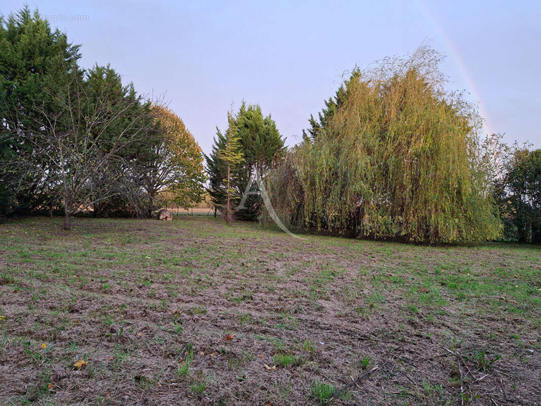 Maison à L&#039;ISLE-JOURDAIN