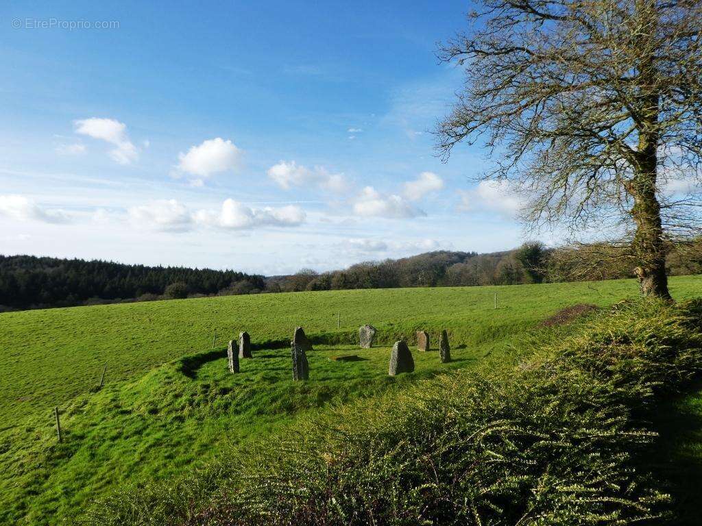 Propriété - photo 25
