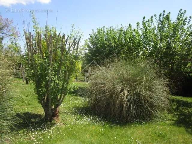 Maison à SAINT-LOUP
