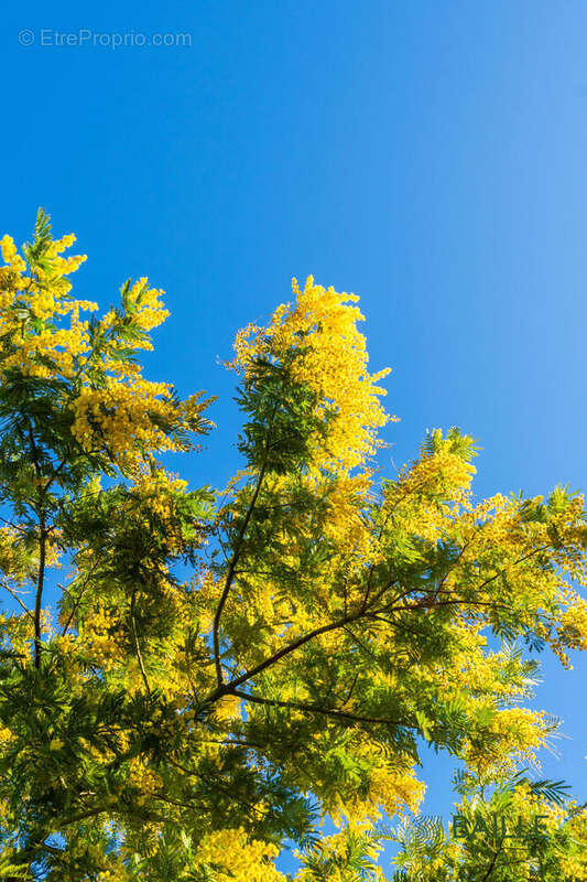 Photo 4 - Maison à MARSEILLE-9E