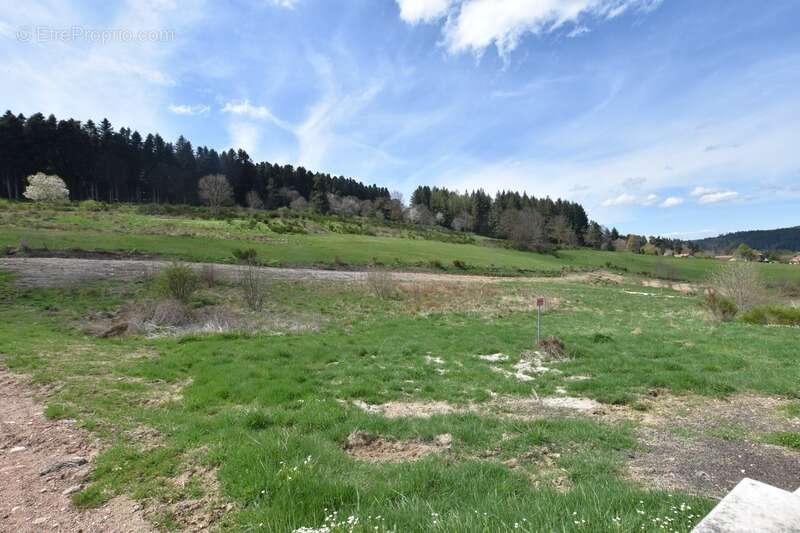Terrain viabilisé à vendre de 911,00 m² DUNIERES (43), vue dégagée, belle situation - photo 5