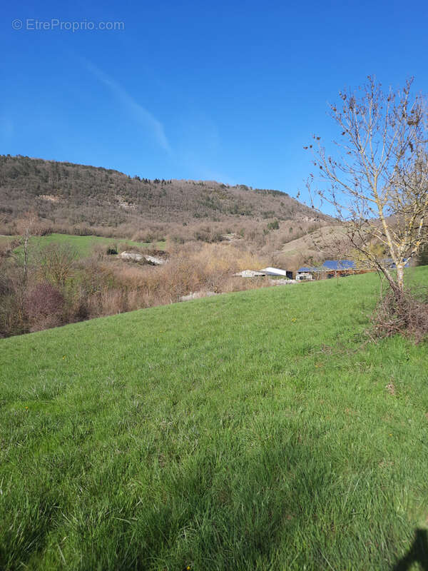 Terrain à SAINTE-EULALIE-DE-CERNON
