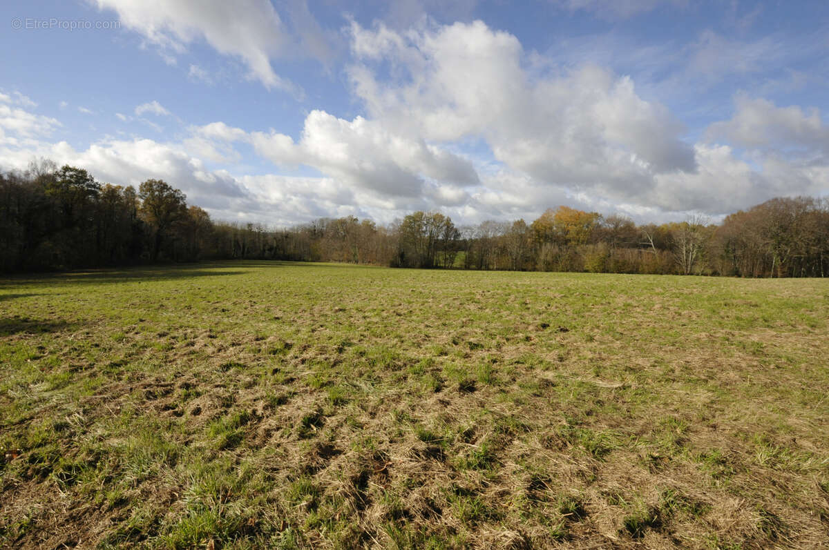 Terrain à VICQ-SUR-BREUILH
