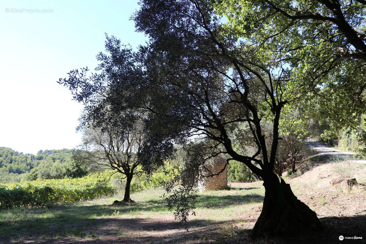 Maison à LE BEAUSSET