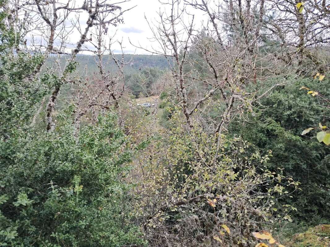 Maison à LE MASSEGROS