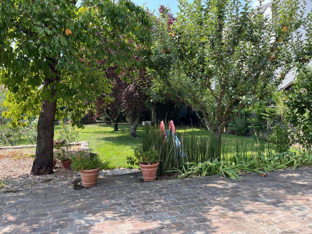 Maison à SAINT-JEAN-LE-BLANC