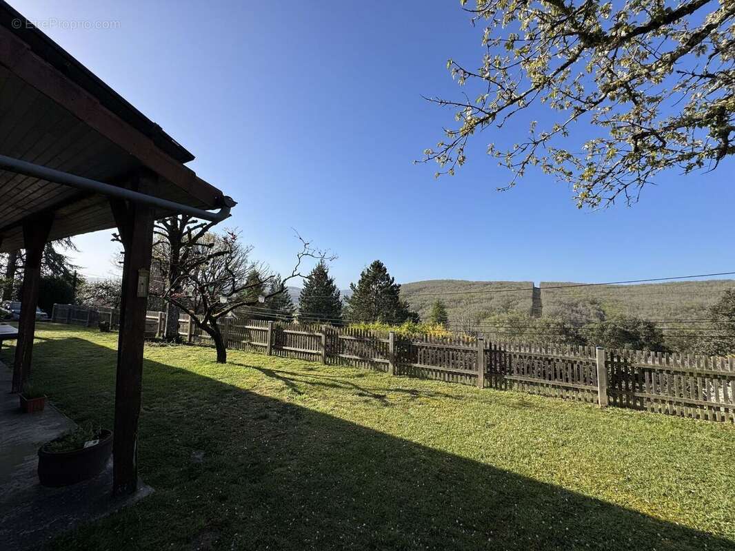 IMG2259 - Maison à SAINT-CYPRIEN