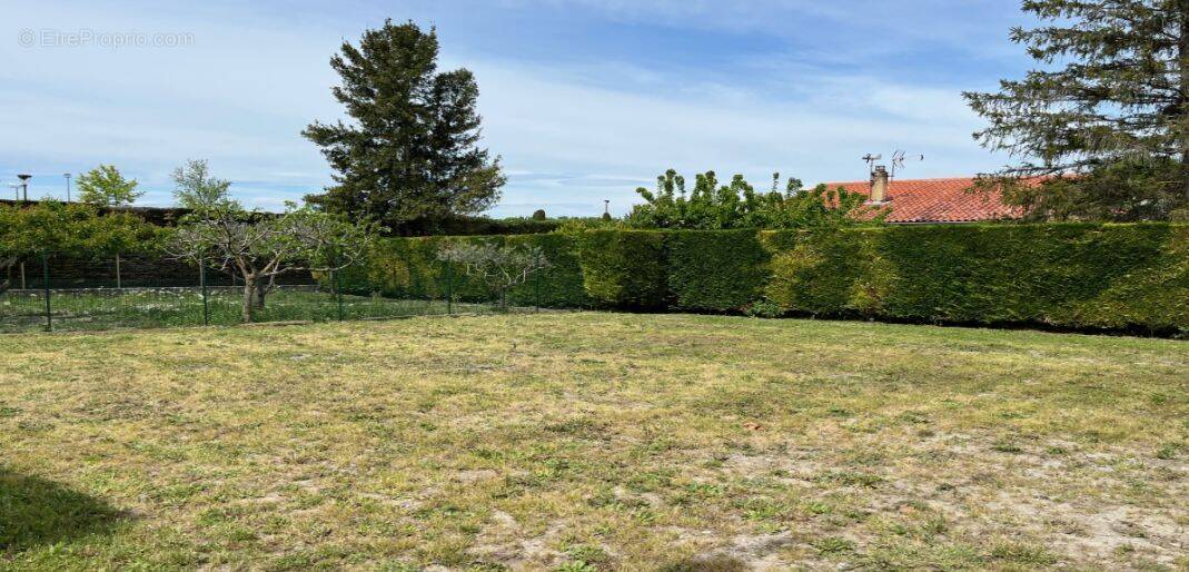 Terrain à PERNES-LES-FONTAINES