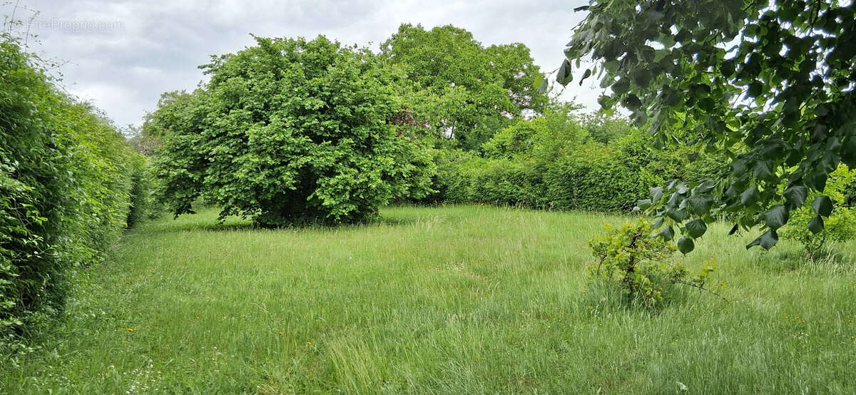 Maison à JOUY-SUR-MORIN