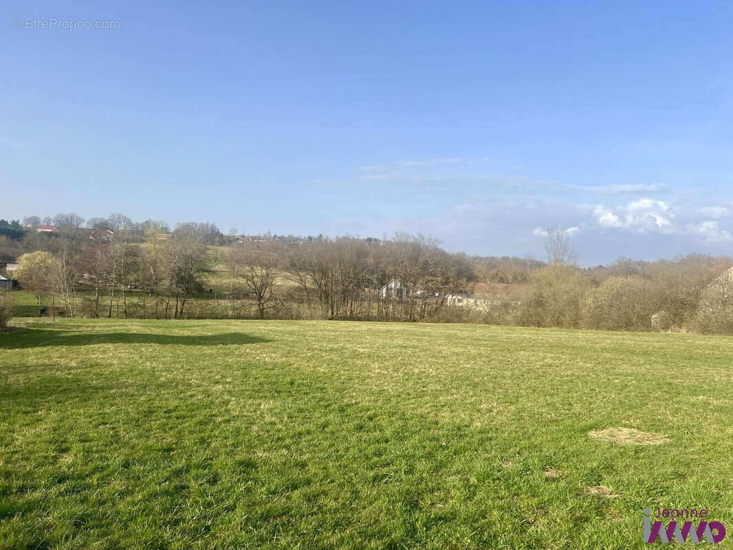 Terrain à FRAHIER-ET-CHATEBIER