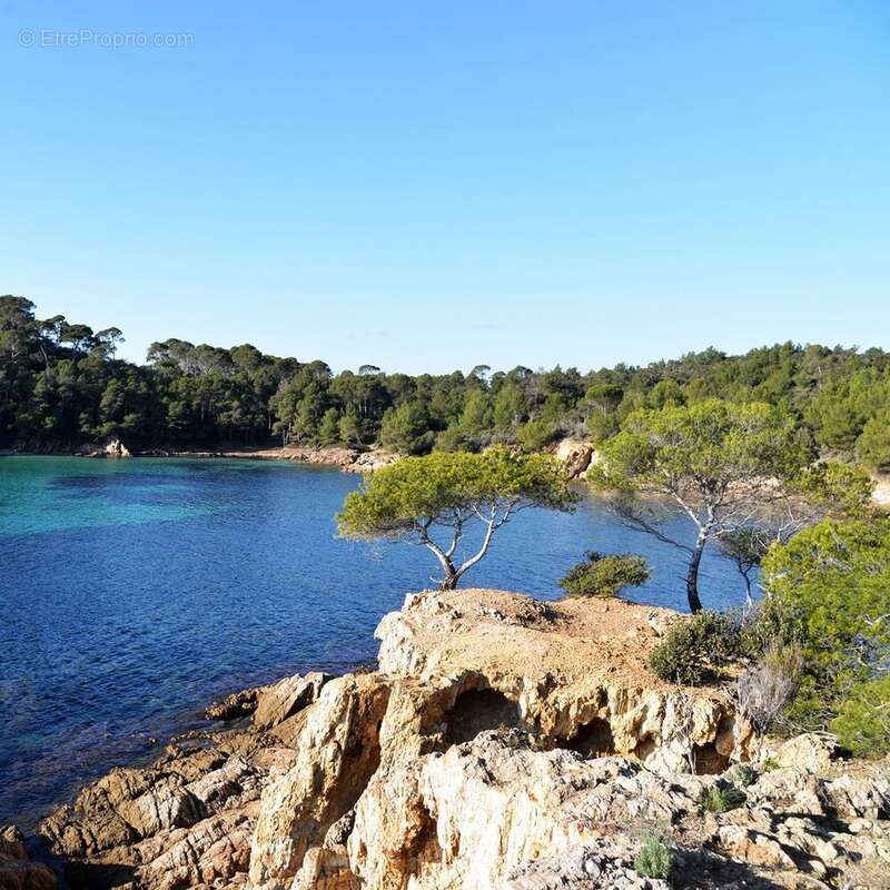 Appartement 33 m² à La Londe-Les-Maures  - photo 3