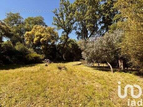 Photo 9 - Maison à TOULON