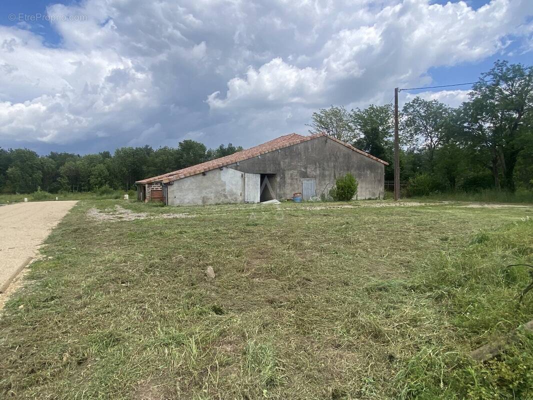 Terrain à VILLEMUR-SUR-TARN