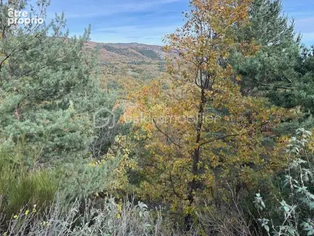 Terrain 10850 m2 Rabouillet - photo 8