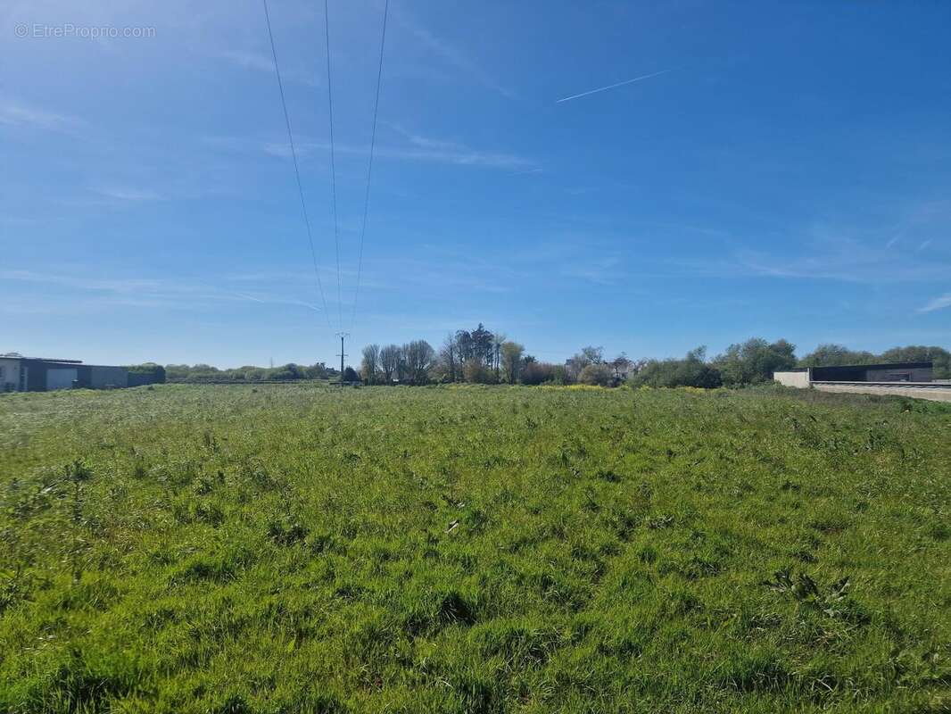 Terrain 562 m² à Cleder  - photo 3