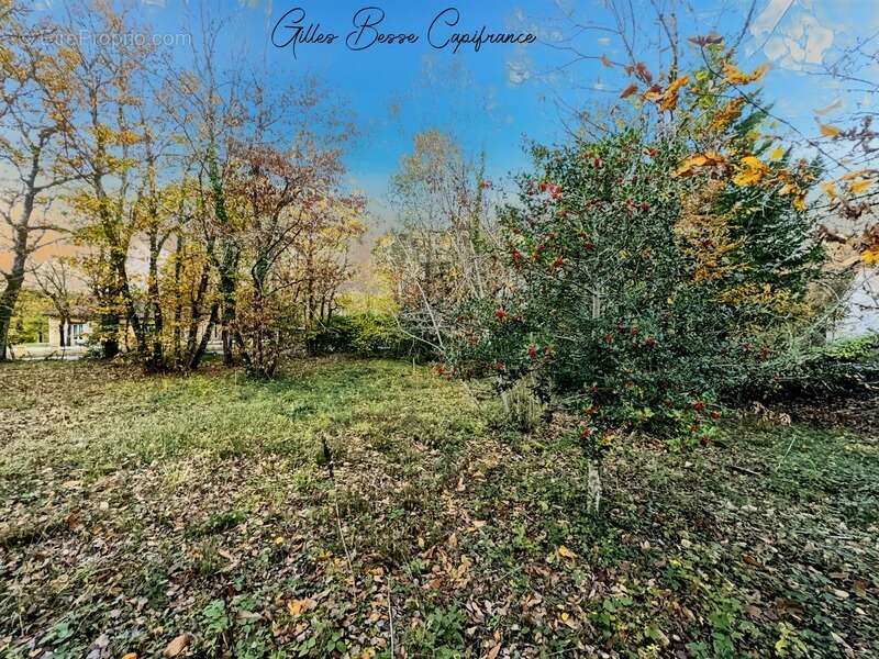 Terrain à LA CHAPELLE-GONAGUET