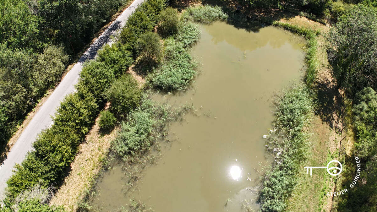 Volumes, lumière et nature : une propriété singulière aux portes de la Sologne - photo 4