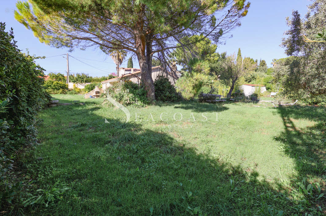 Photo 5 - Maison à MARTIGUES