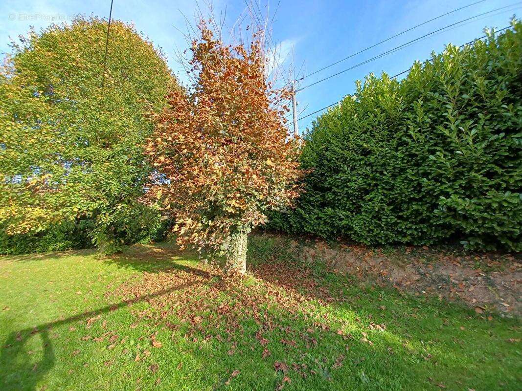 Maison à SAINT-SULPICE-SUR-RISLE