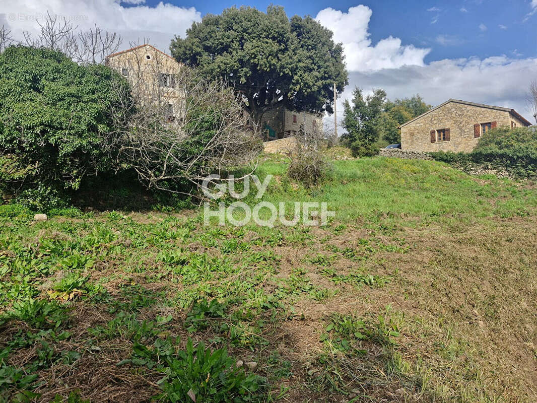 Terrain à TAVACO