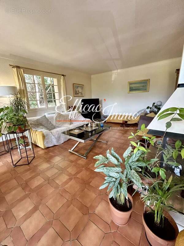 Villa T7 vue sur le Canigou sur 25 700m2 de terrain - photo 6