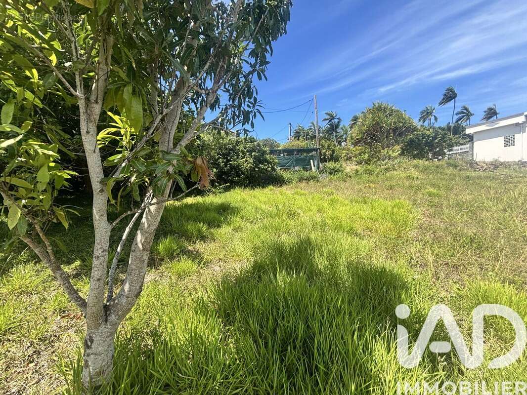 Photo 3 - Terrain à SAINT-PIERRE