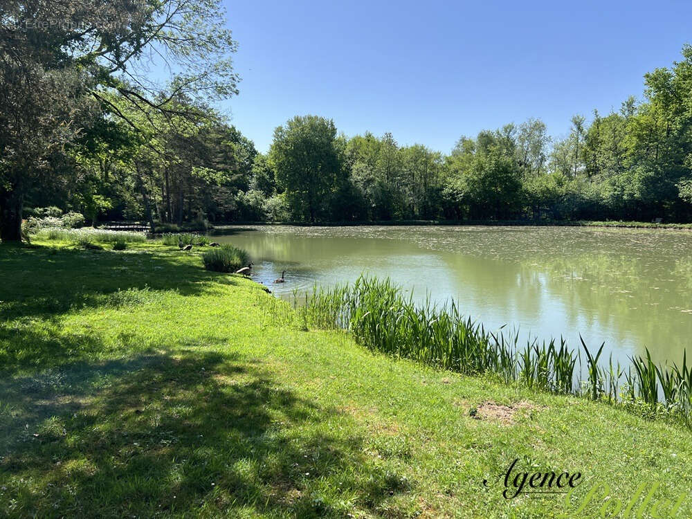 Maison à AUBIGNY-SUR-NERE