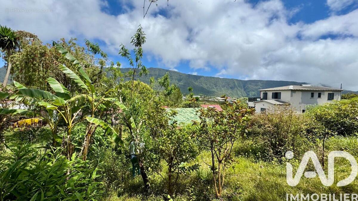 Photo 1 - Maison à LA PLAINE-DES-PALMISTES