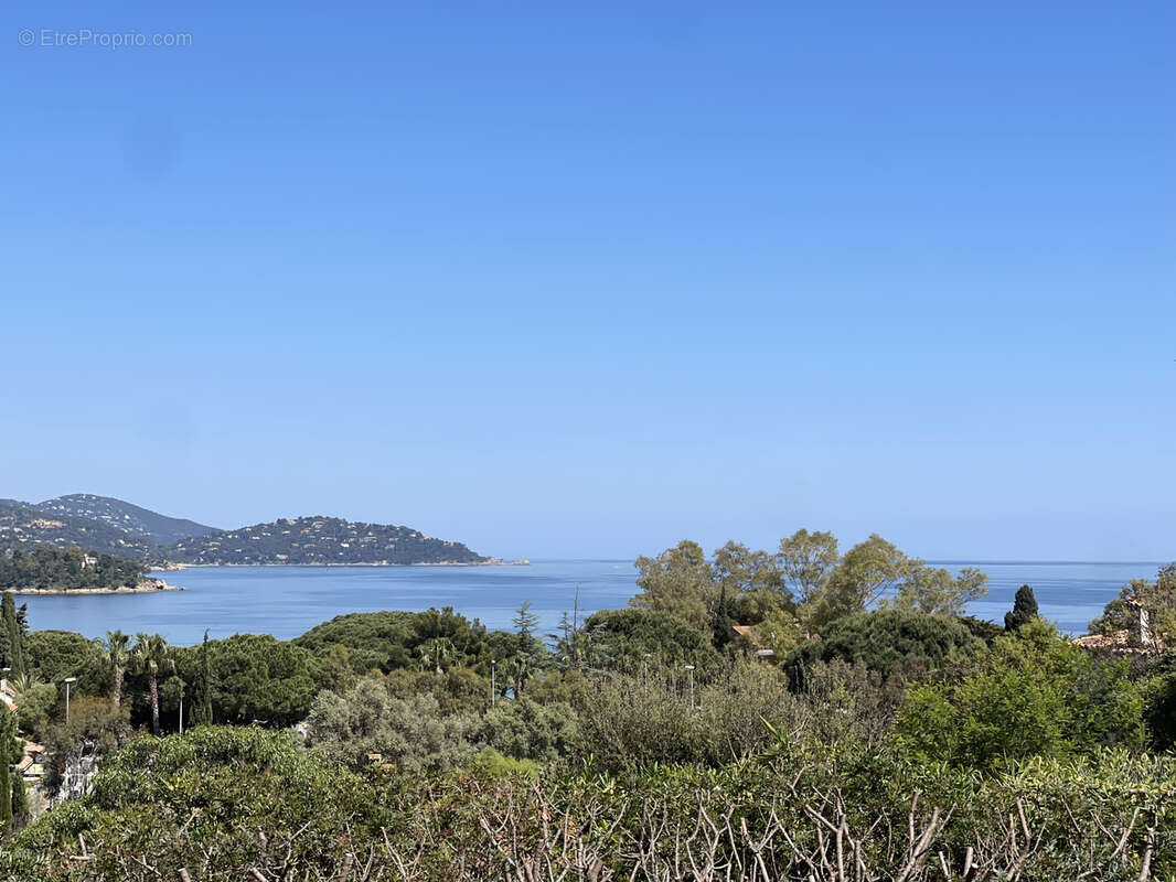 Maison à LE LAVANDOU