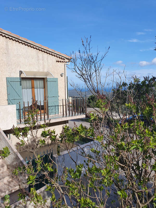 Appartement à BELGODERE