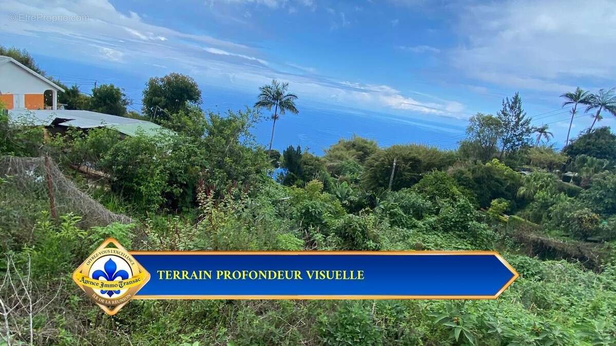 Terrain à LES TROIS-BASSINS