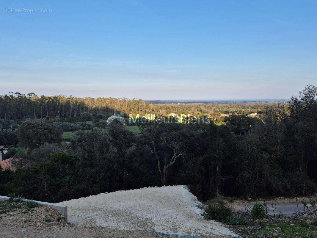 Terrain à SERRA-DI-FIUMORBO
