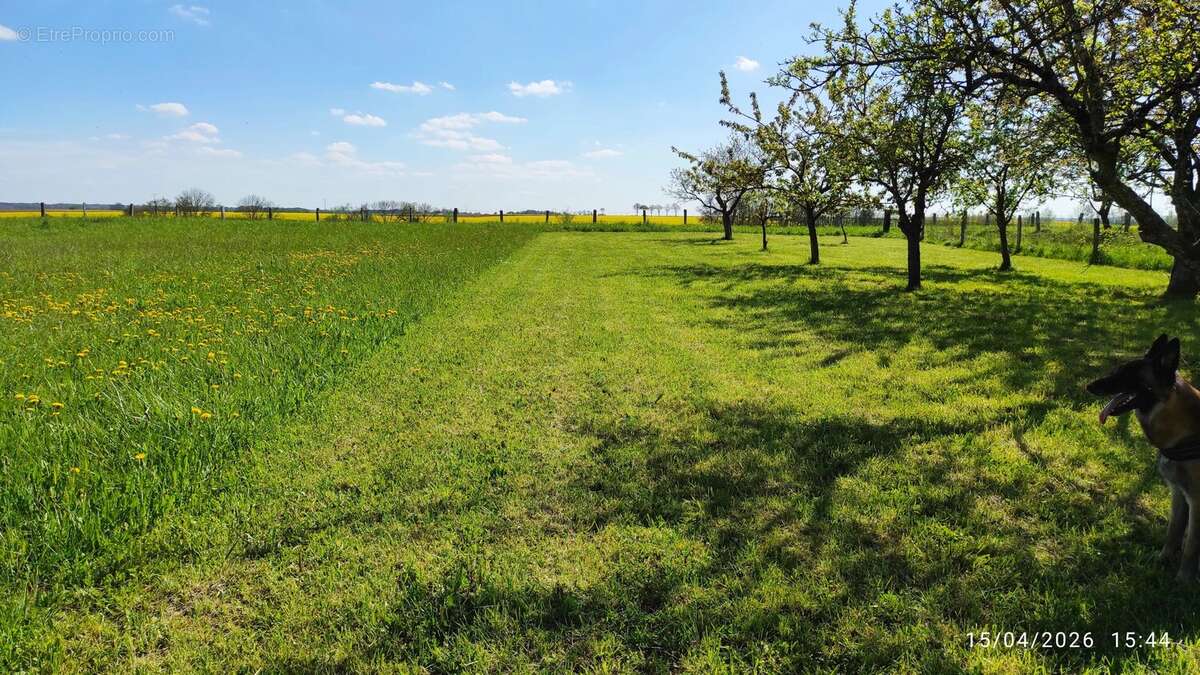 Terrain à SAINTE-MENEHOULD