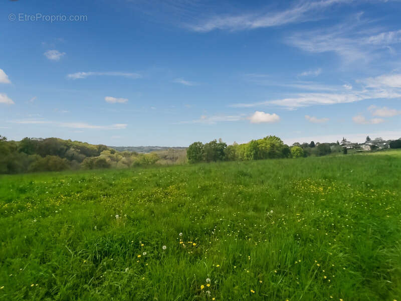Terrain à ORTHEZ