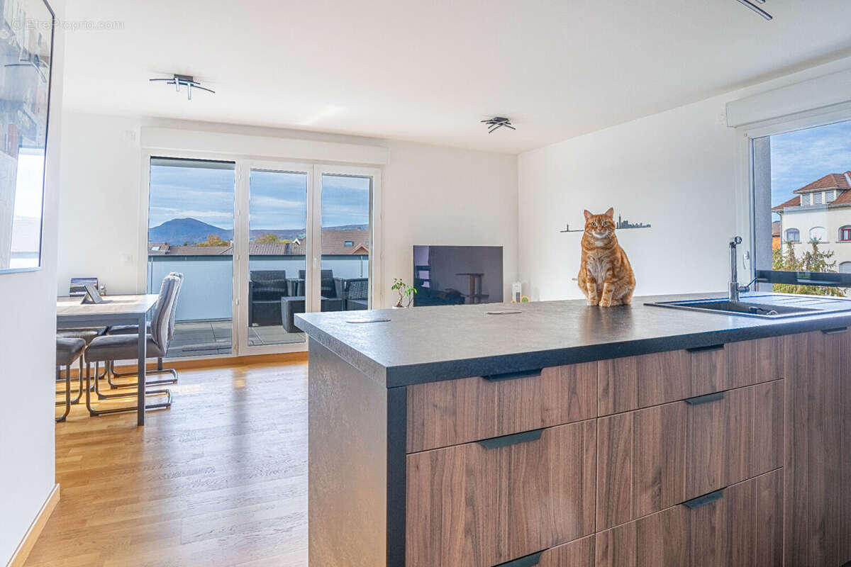 Appartement à ANNECY-LE-VIEUX