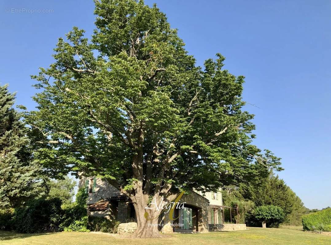 Maison à FOX-AMPHOUX