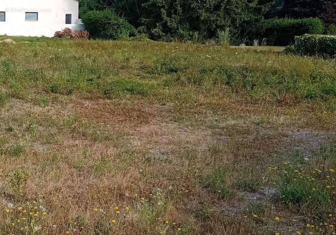 Terrain à VILLARS-LES-DOMBES