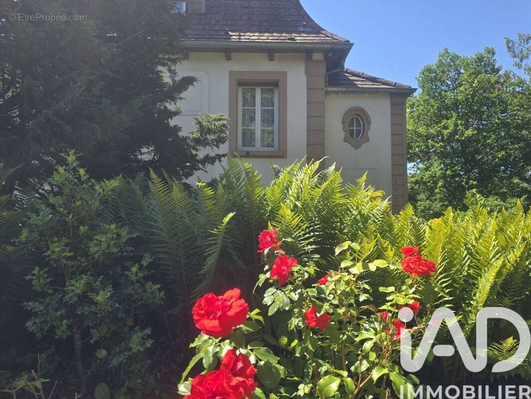 Photo 1 - Maison à HEILIGENBERG