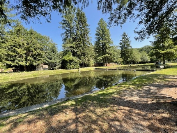 Maison à LE PALAIS-SUR-VIENNE