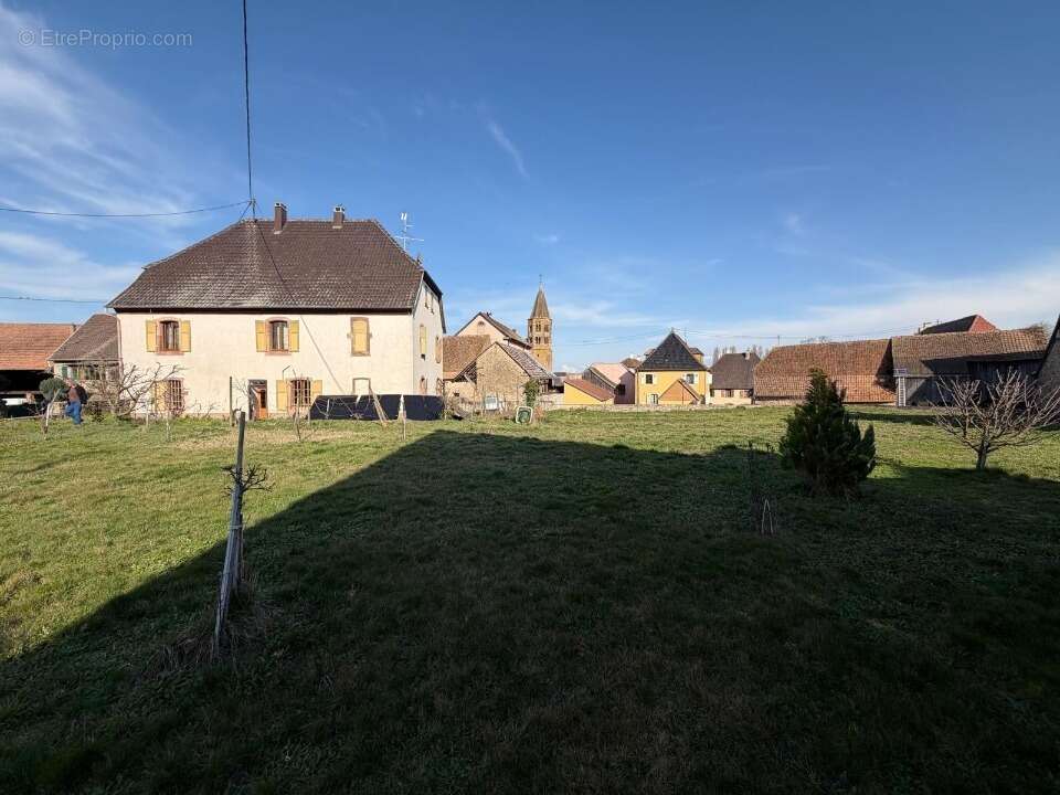 Terrain à GUNDOLSHEIM