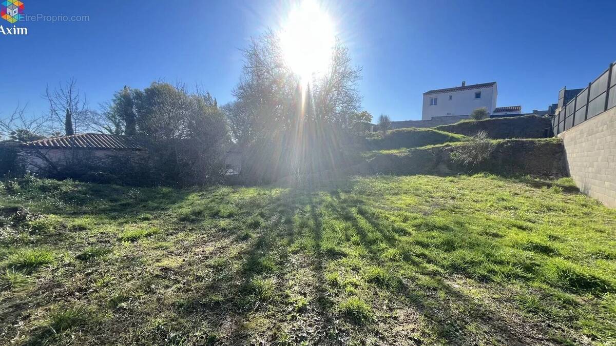 Terrain à ROQUEBRUNE-SUR-ARGENS