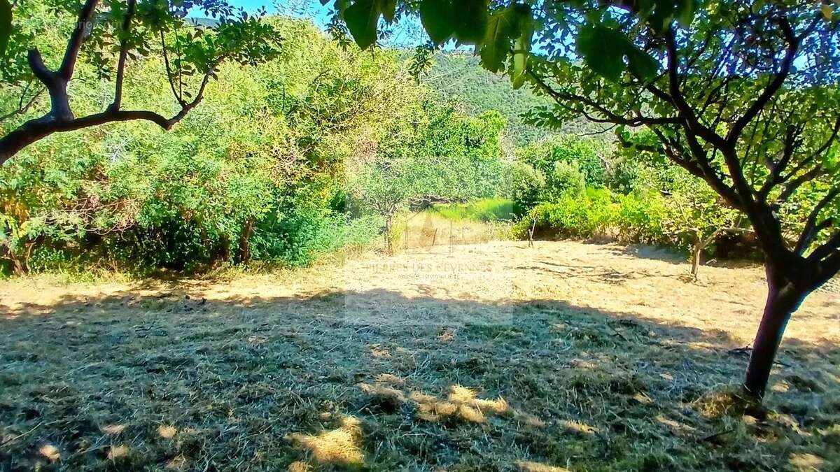 Maison à SAINT-ANDRE-DE-LANCIZE