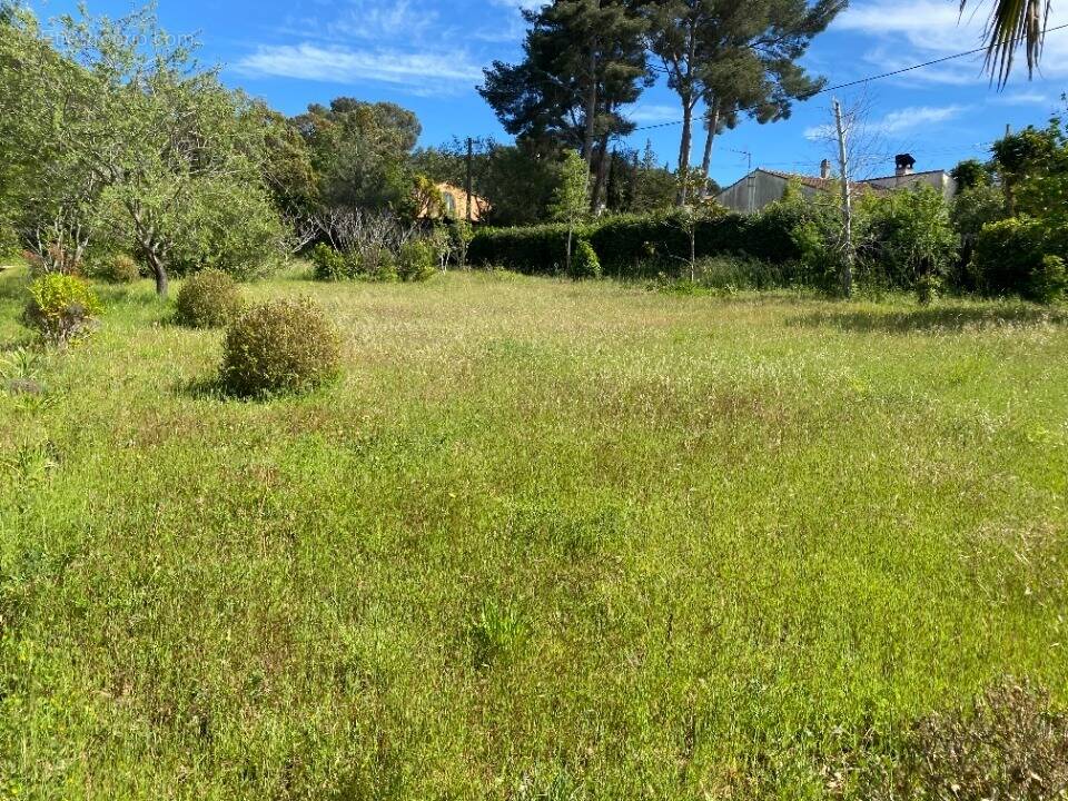 Terrain à LE PRADET