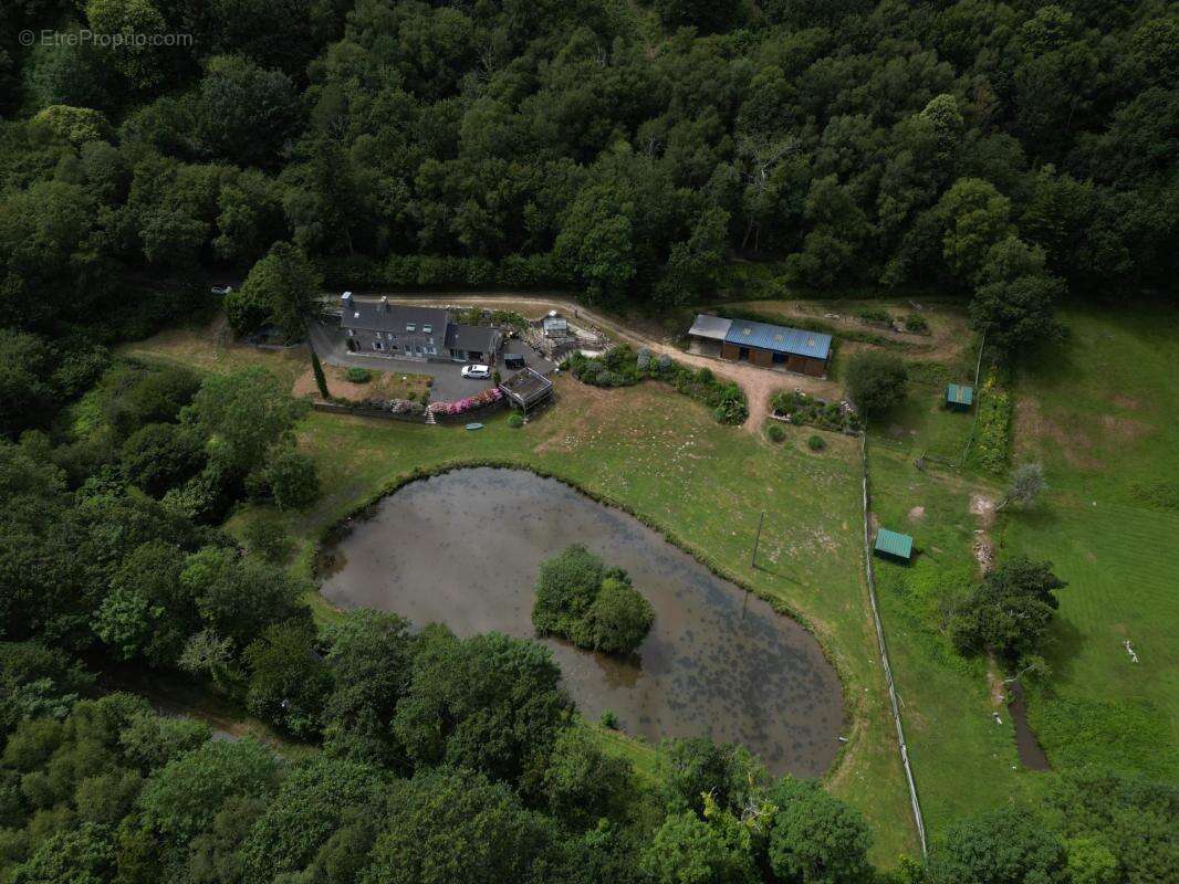 Maison en pierre dans un écrin de nature avec étang et forêt - photo 14