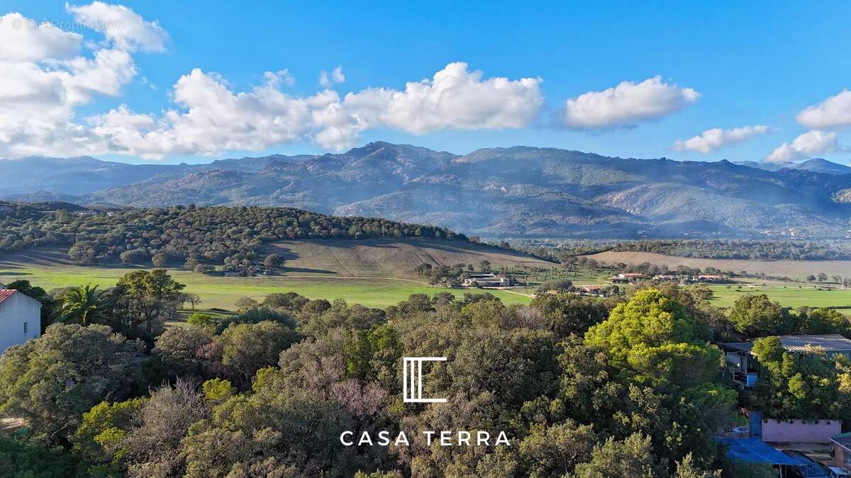 Terrain à PORTO-VECCHIO