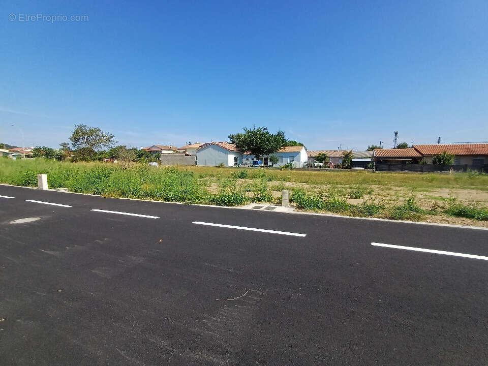 Terrain à SAINT-JEAN-DU-FALGA