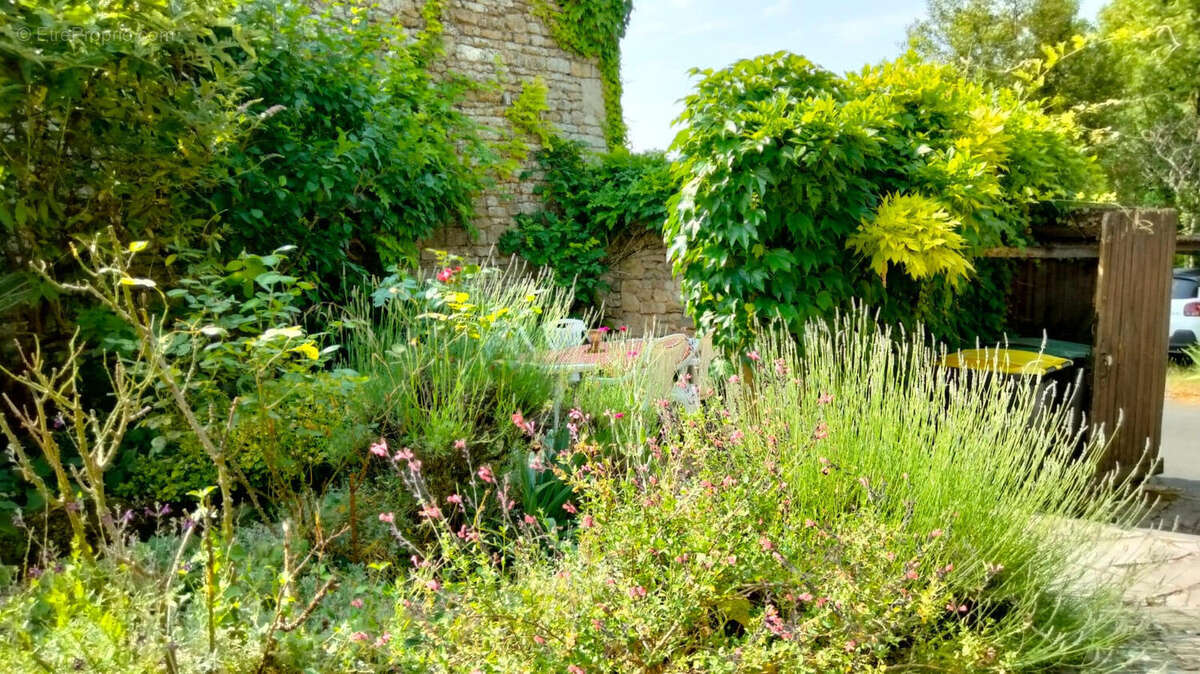 JARDIN - Maison à SALLES-DE-VILLEFAGNAN